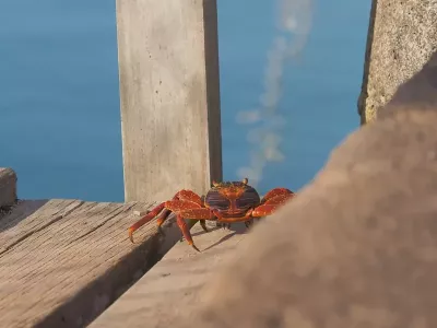 Unedited image