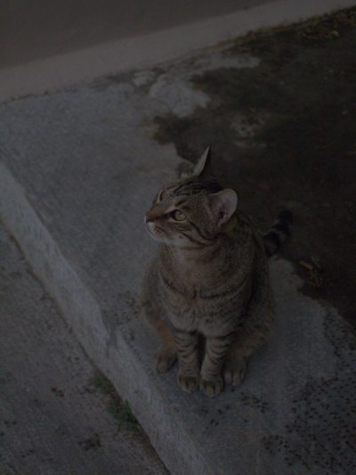 Unedited image