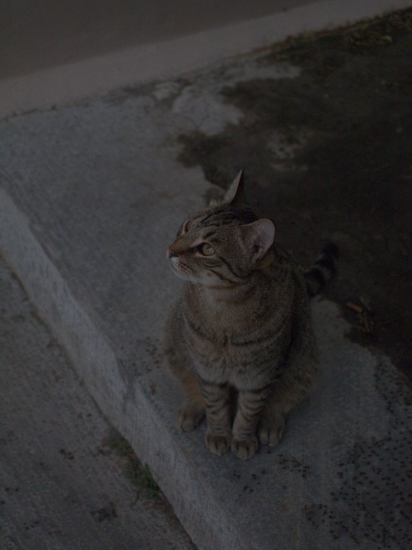 photo before edit